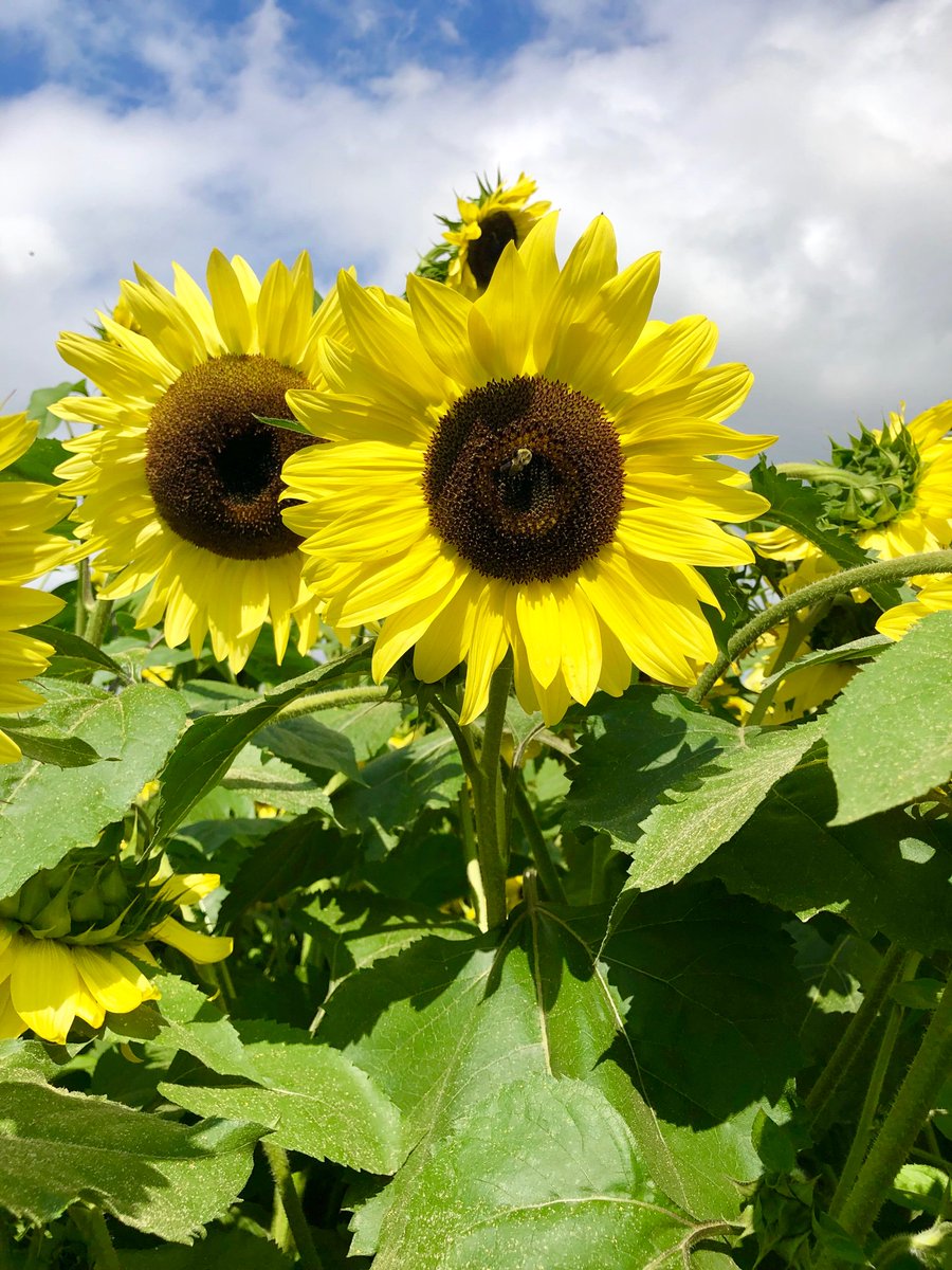 Harvest Select Wines tweet media