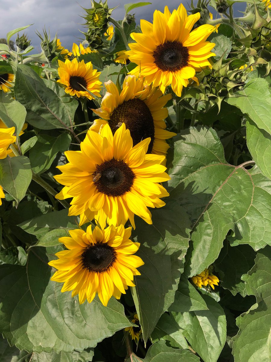 Harvest Select Wines tweet media