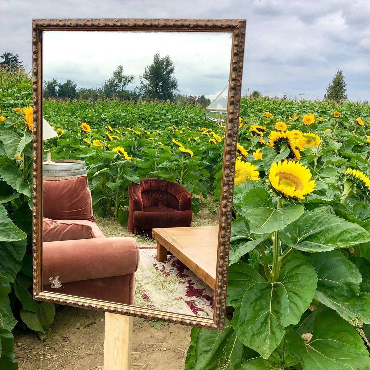 Harvest Select Wines tweet media