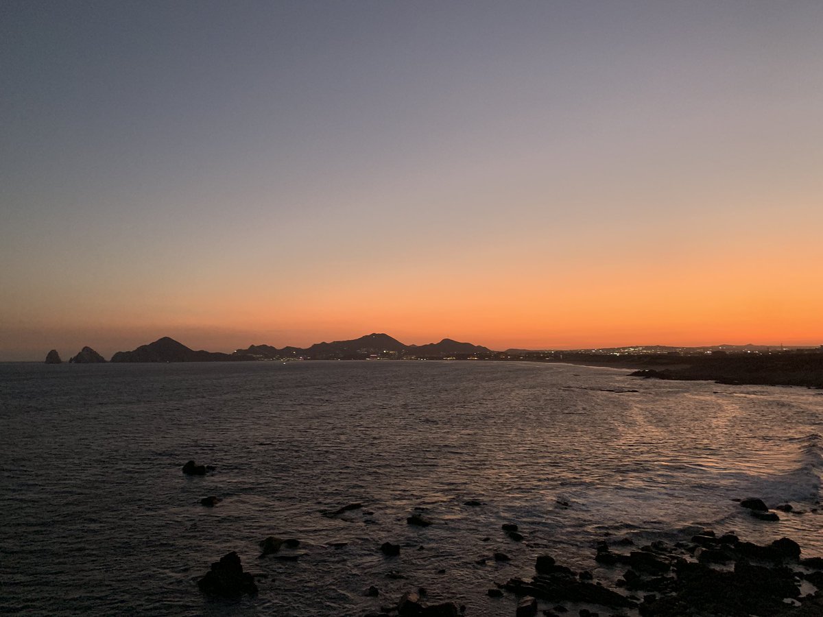 Lilia Alvaro 🇲🇽 tweet media