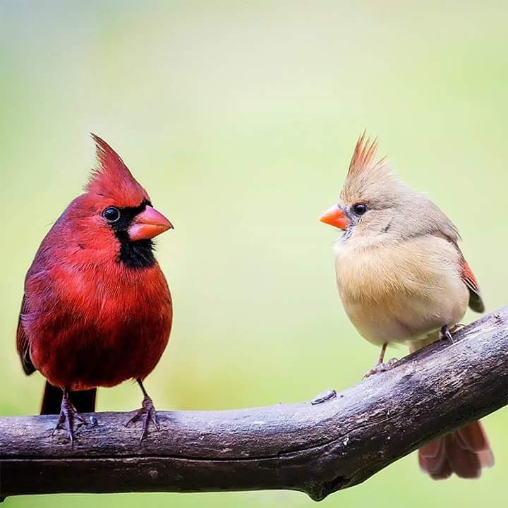 Bermane Otalus tweet media