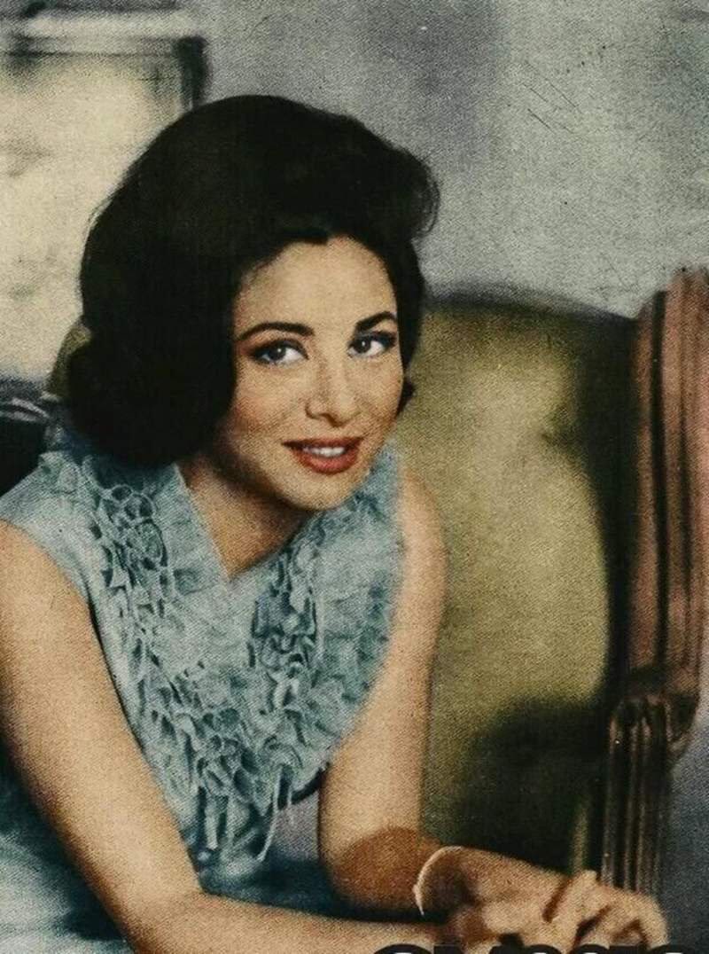 InfidelsQuotes's tweet photo. كنا مجتمعات محافظة بملابس متحررة وعقول منيرة، أما الآن فأصبحنا مجتمعات متسيبة بملابس محتشمة وعقول عفنة.

- فاتن حمامة https://t.co/By2AckxOP5