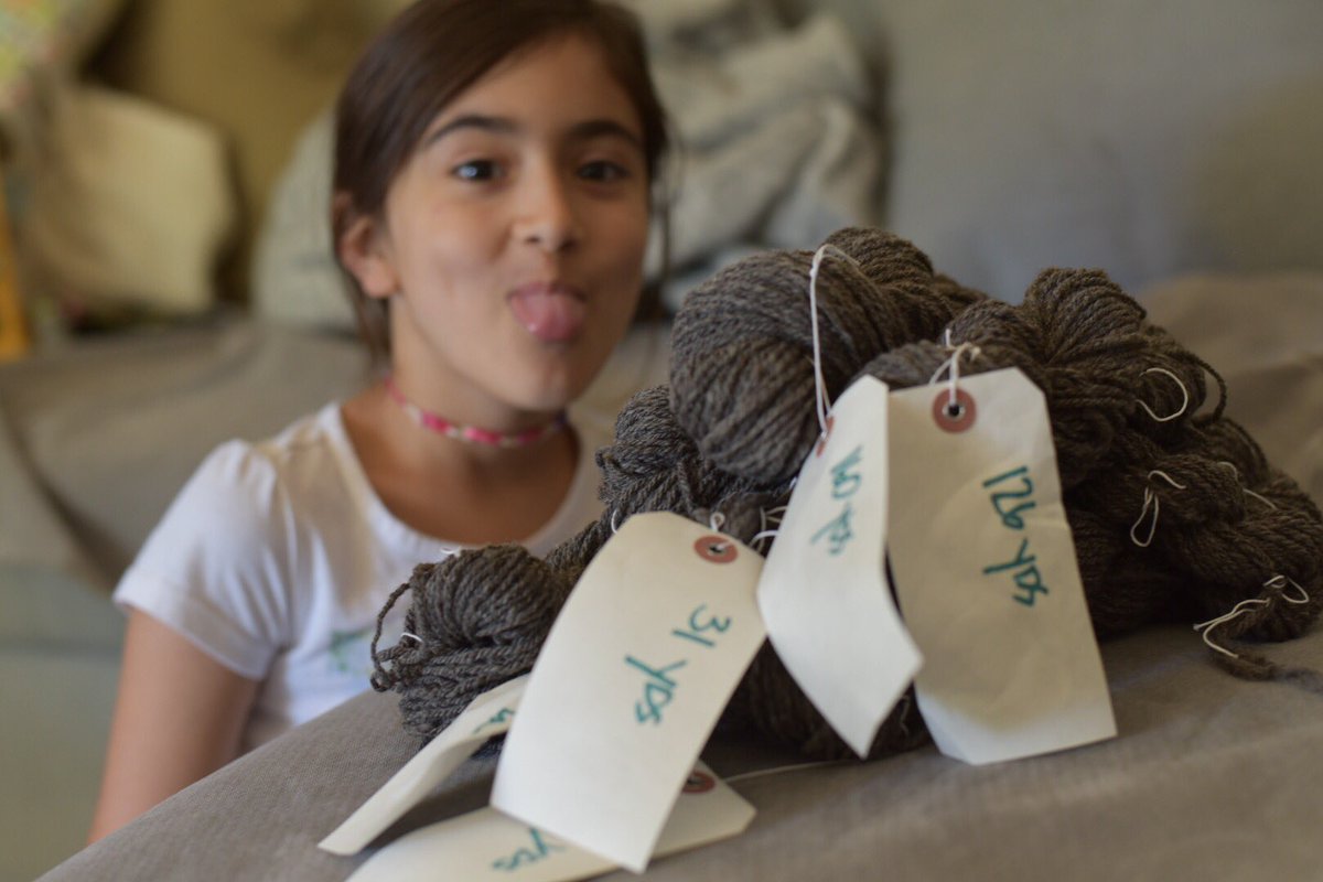 DahlingDaughter's tweet photo. Some more finished handspun! 730 yards of 3 ply = 2920 yards which converts to 2670 meters for #stashdash2019.
-
(I used a conversion app this time, so my math is right.)
-
#teamcuteknitter #beatbostonjen #spinnersofinstagram https://t.co/m8Jl5RBQ5w