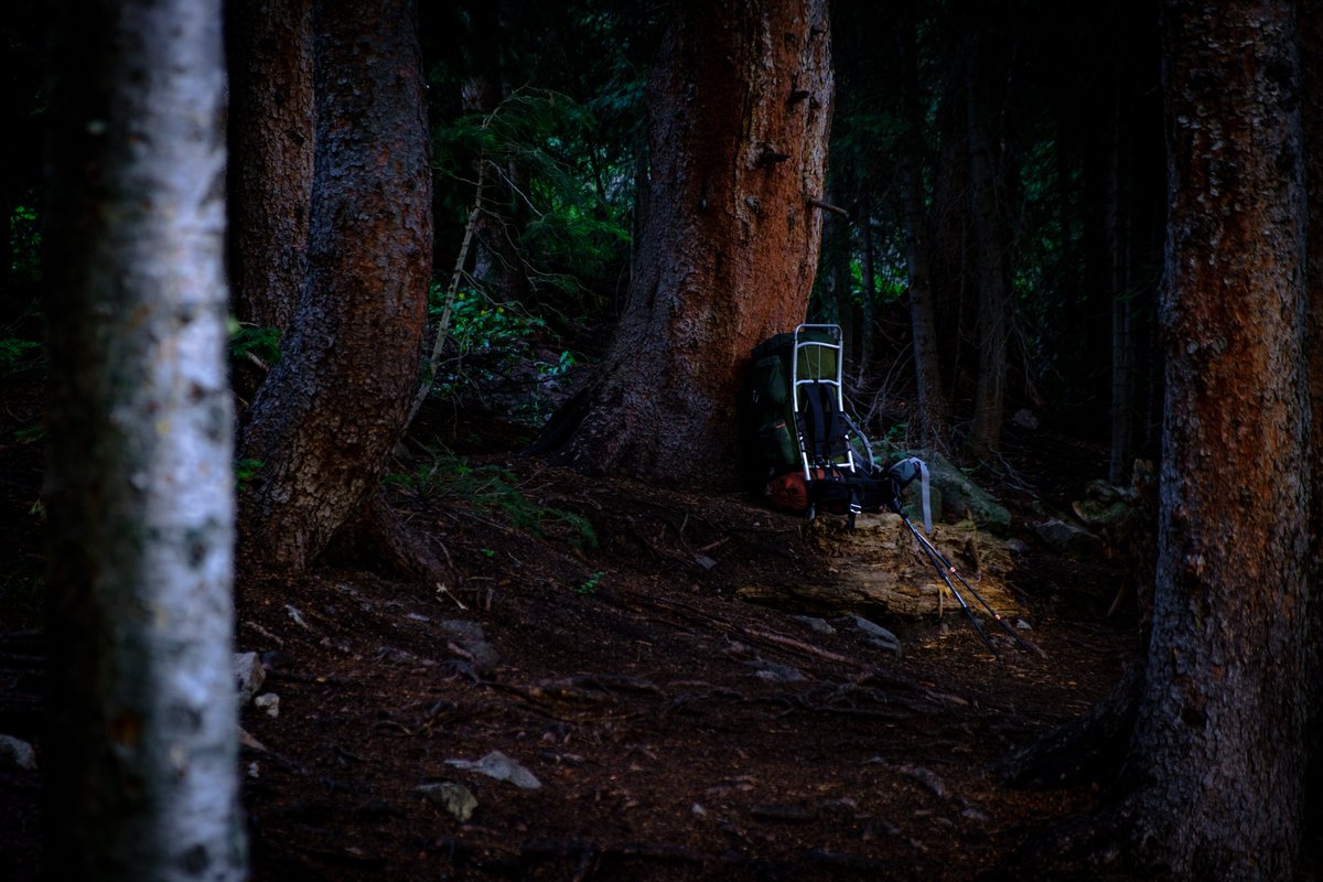 knowinglee's tweet photo. The light creeps in. #photography #woods #backpacking https://t.co/eMppEdRKyA