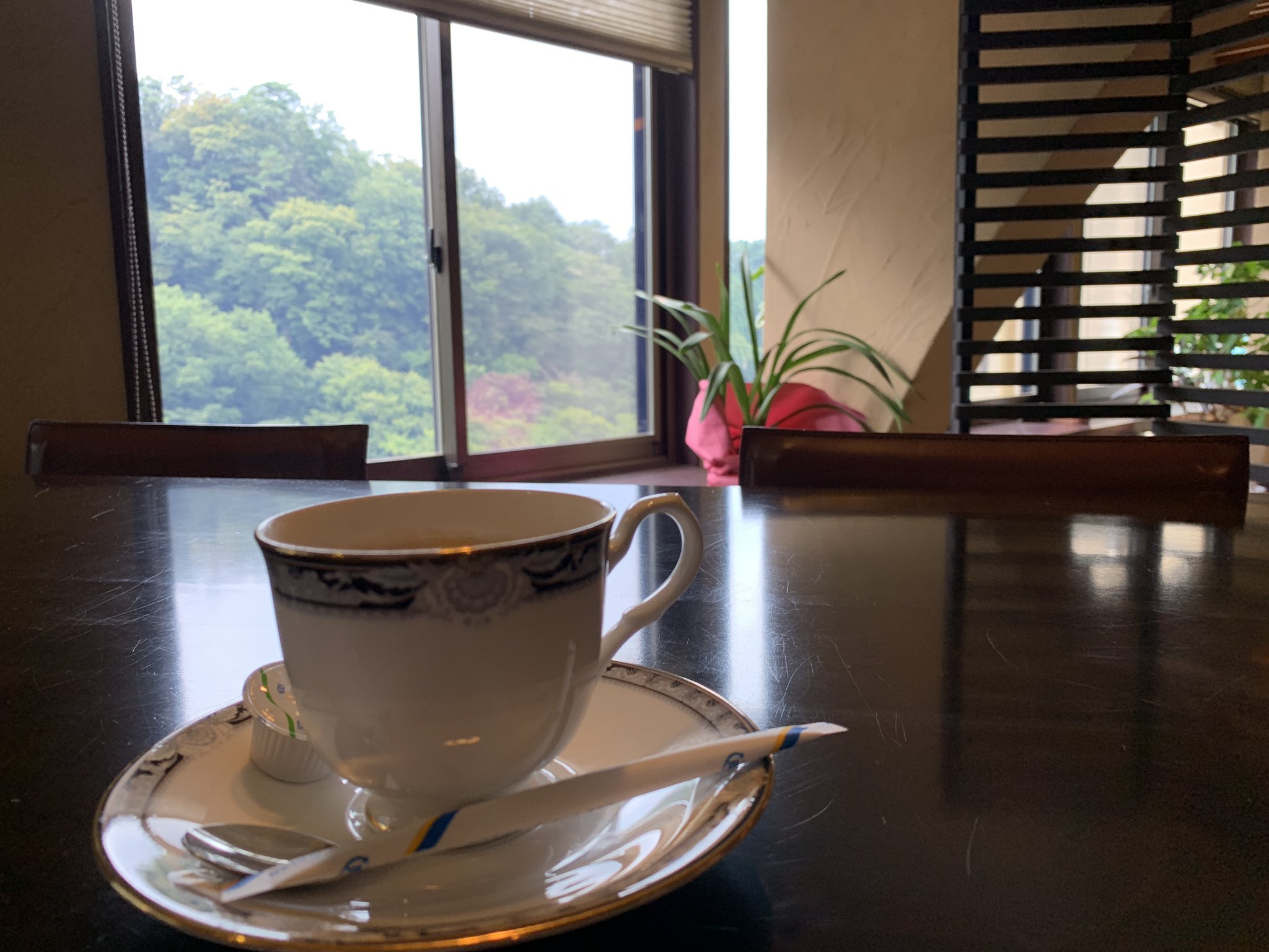 きんどう きんどうメシ 伊香保温泉のダイニングカフェ 風の谷さん 青々とした森が腐海感ある かな 景色いいですね 伊香保温泉 輪投げや射的屋とか並んでてとても夏休み感あっていいですね T Co Twpda37gn7 Twitter