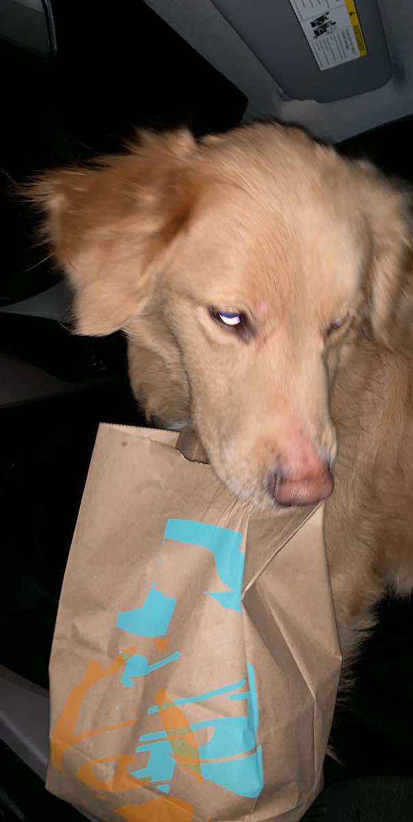 Late night <a href="/tacobell/">Taco Bell</a> run. We love a good chalupa! 🌮 ❤️ #tacobell