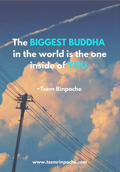 vsuhendra's tweet photo. Words of Wisdom from @tsemtulku
 
https://t.co/DOYVBqCDEj  

#tsemrinpoche #tsemtulku #kechara #buddha #buddhism #positivevibes #wisdom #wise #wordsofwisdom https://t.co/5l35hzgNjE