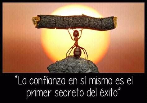 TheRisso's tweet photo. La confianza en uno mismo es más importante que cualquier otra. https://t.co/hvIJSUHKUS