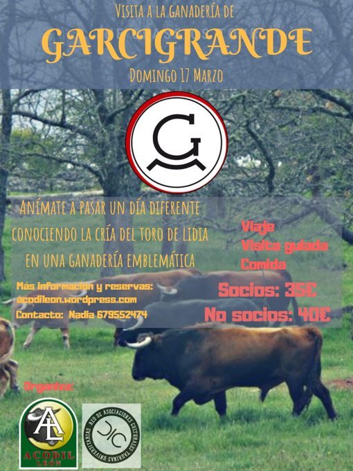 ftorodelidia's tweet photo. @TauroCienciaUPM @La_UPM 🔬En la Universidad Veterinaria de León está @ACODlL. 

Han realizado cursos sobre el toro bravo y el ecosistema de la dehesa, sobre los caballos dedicados al mundo del toro, han visitado ganaderías y organizado capeas. Y mucho más.

🔗 Más info en https://t.co/IowFiZy4uo https://t.co/GJCgqBfcp2