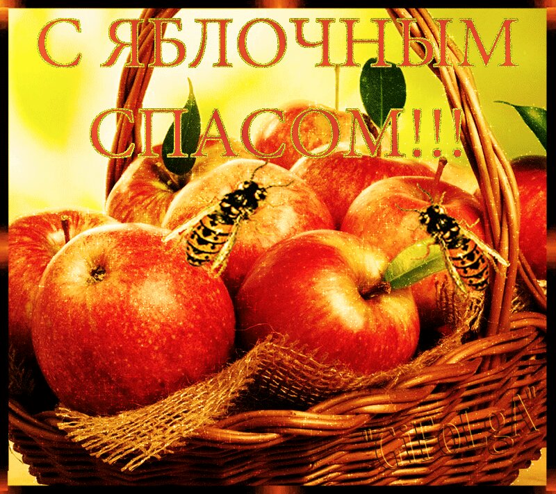 Гифки с яблочным спасом красивые
