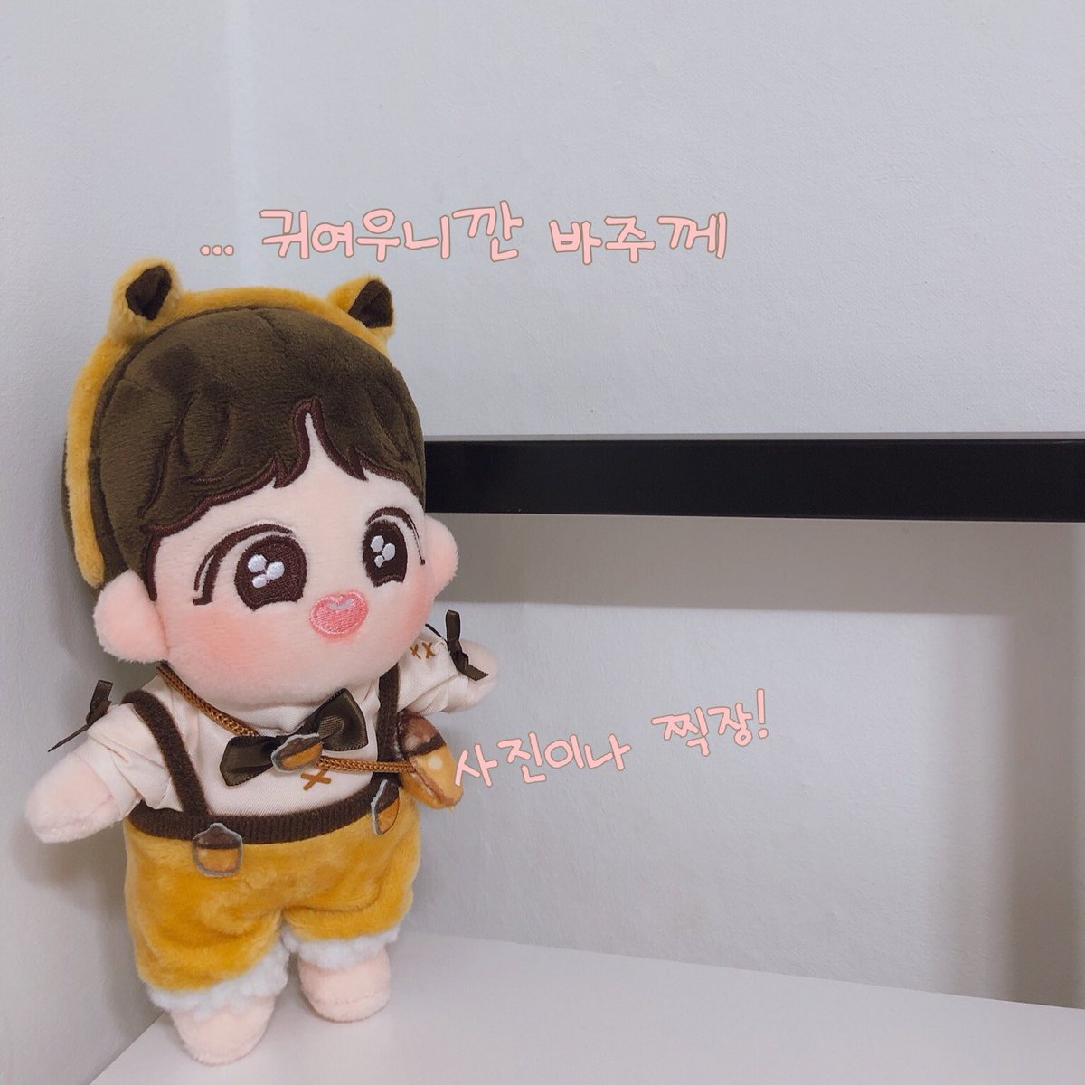 호이 tweet media