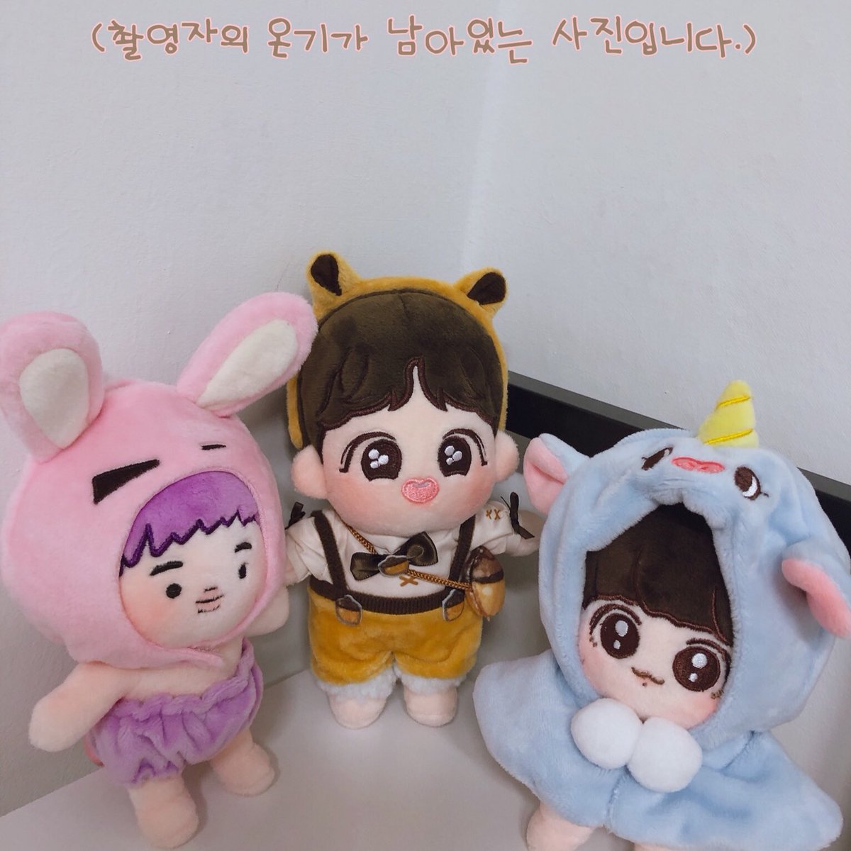 호이 tweet media