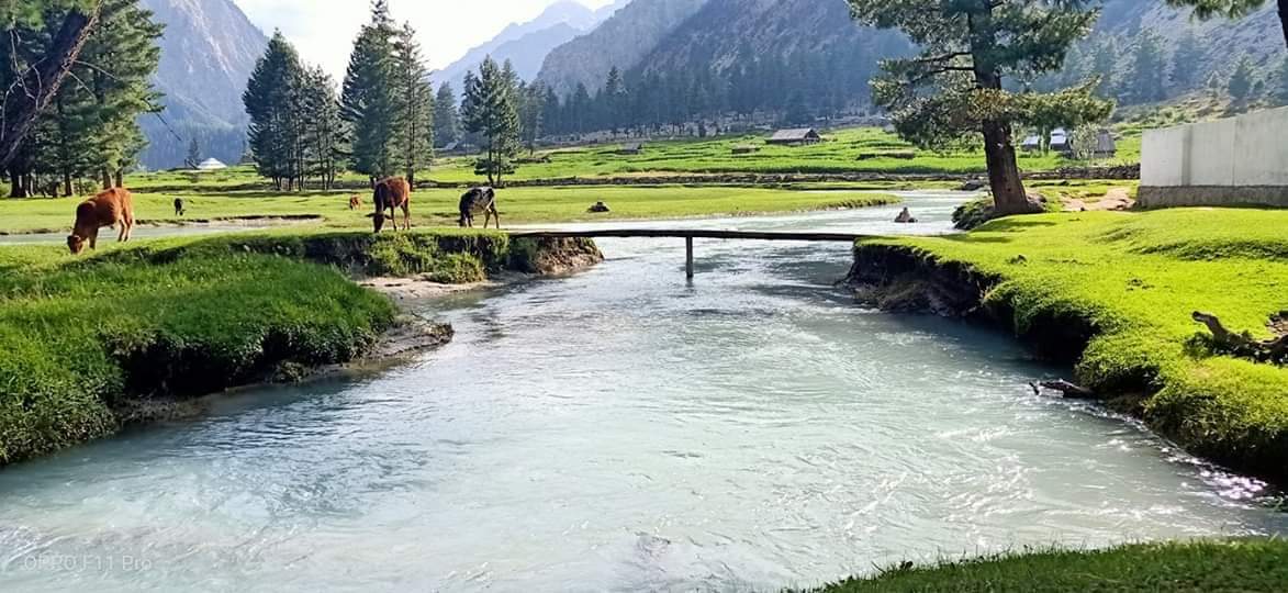PakistanNature1's tweet photo. Kandiya Valley district Kohistan.  
#BeautifulPakistan #PakistanZindabad 
#VisitPakistan #WearePakistan https://t.co/9Ezejz8bgh