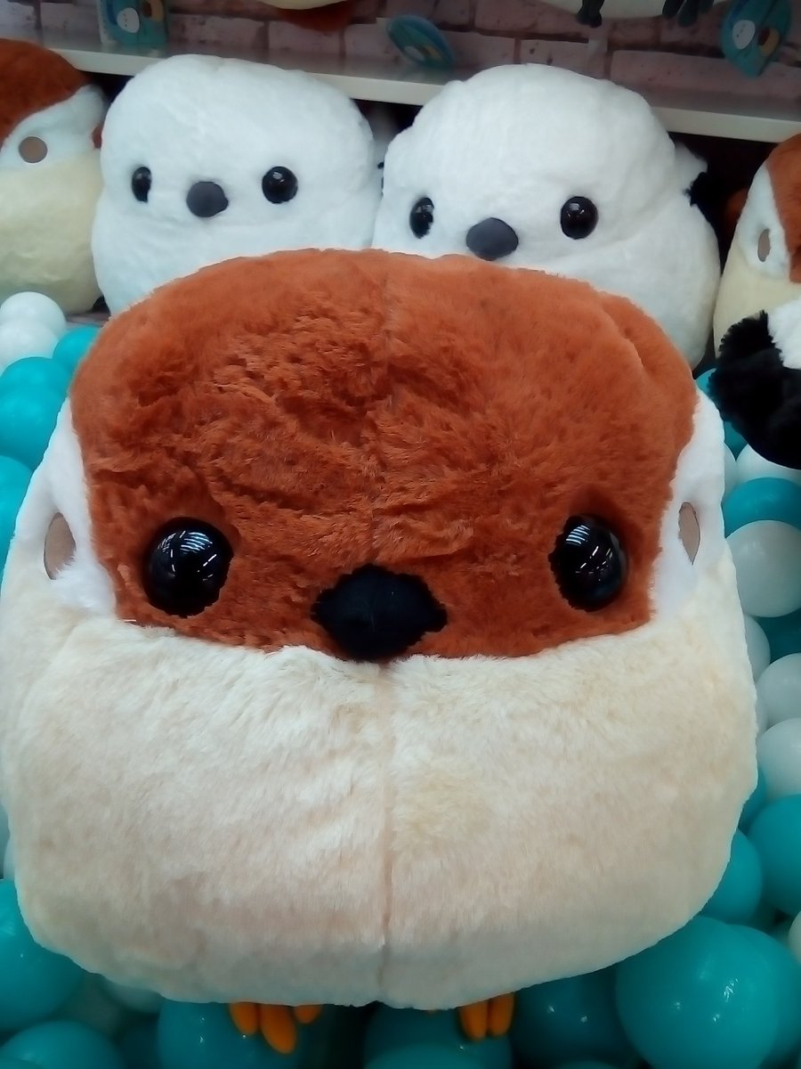 千葉レジャーランド稲毛店 Twitterren プライズ入荷しました ふくふくシマエナガbig 全2種 プライズ クレーンゲーム レジャラン 稲毛 ゲーセン Ufoキャッチャー ふくふく シマエナガ Big ぬいぐるみ 千葉レジャーランド稲毛店 Twitterren プライズ入荷しました ふくふくシマエナガbig 全2種 プライズ クレーンゲーム レジャラン 稲毛 ゲーセン Ufoキャッチャー ふくふく シマエナガ Big ぬいぐるみ
