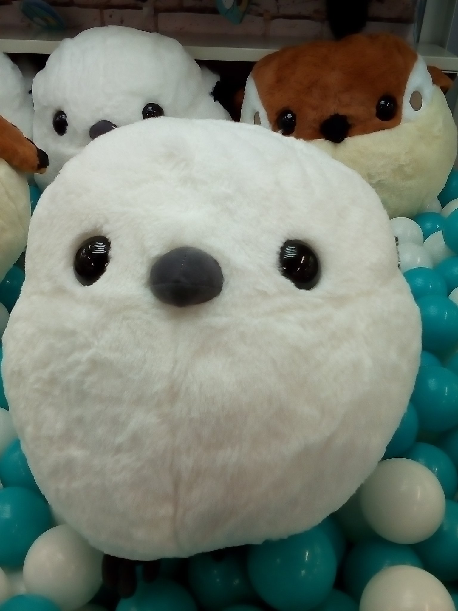 千葉レジャーランド稲毛店 プライズ入荷しました ふくふくシマエナガbig 全２種 プライズ クレーンゲーム レジャラン 稲毛 ゲーセン Ufoキャッチャー ふくふく シマエナガ Big ぬいぐるみ T Co M8p1vknqbx Twitter