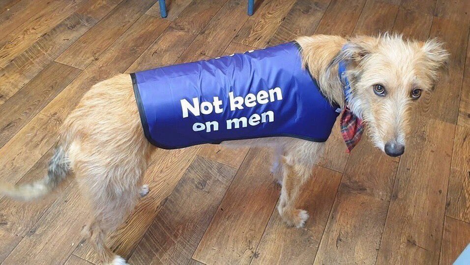 deathnotenjoyer's tweet image. 