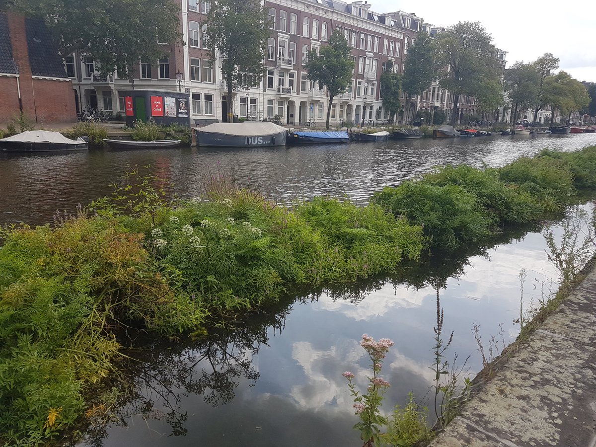 Myriam_Trellu's tweet photo. Jardins flottants à Amsterdam 💕 #natureenville #urbanisme #FloatingPlanters #canaux #biodiversite #ville https://t.co/0OrUHWoutb