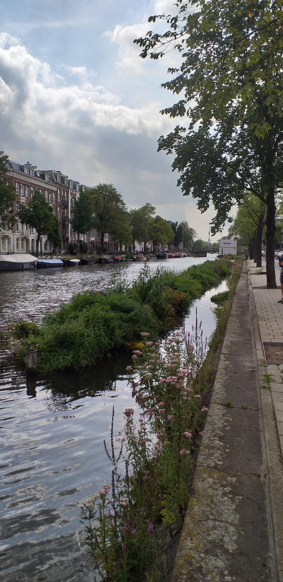 Myriam_Trellu's tweet photo. Jardins flottants à Amsterdam 💕 #natureenville #urbanisme #FloatingPlanters #canaux #biodiversite #ville https://t.co/0OrUHWoutb