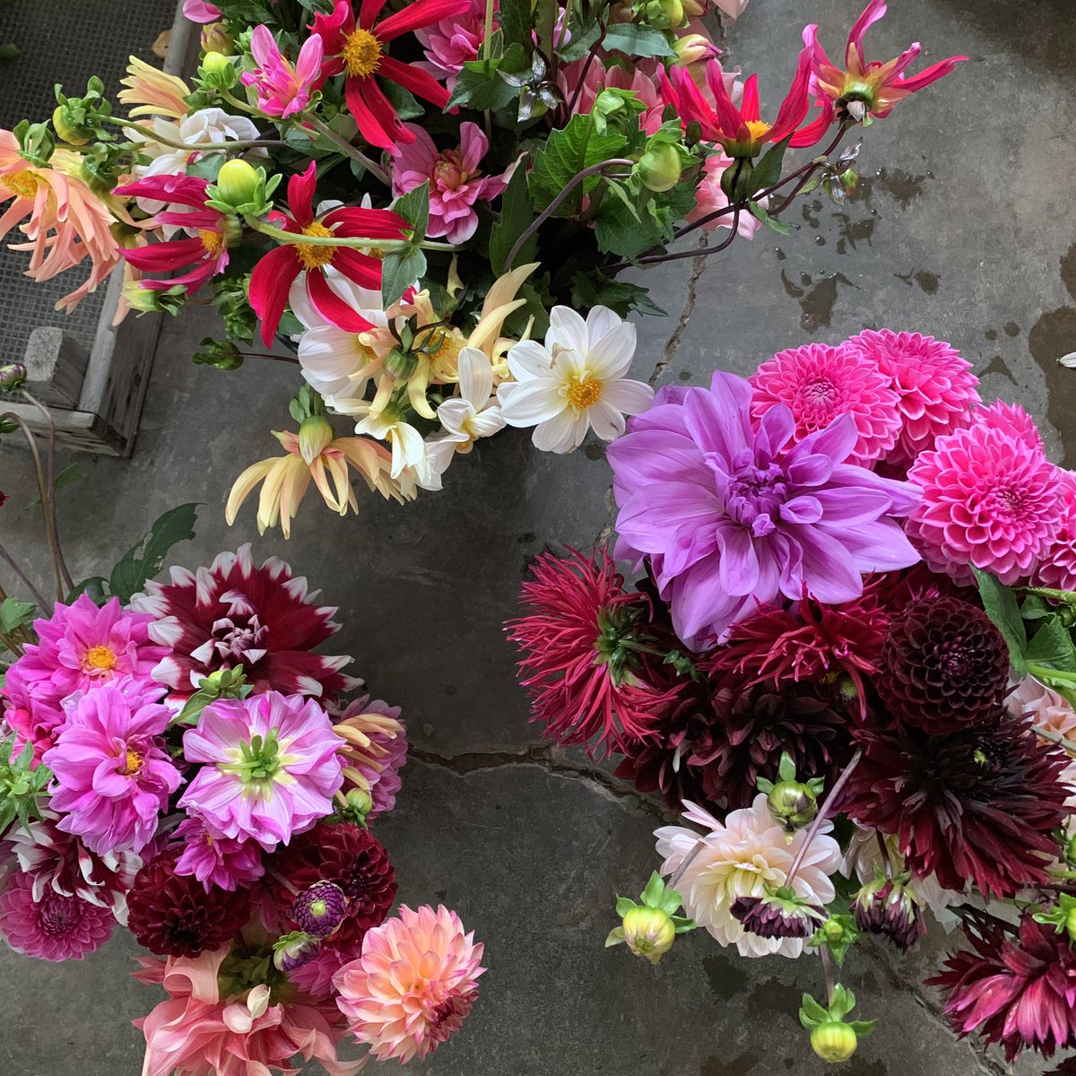 pod_pip's tweet photo. πΏ Our Autumn Flower π Workshops are booking up fast so take a peek at the website to see the full programme. #salisbury #flowerworkshops #floristrycourse #flowerarranging https://t.co/K3X0csvrPO