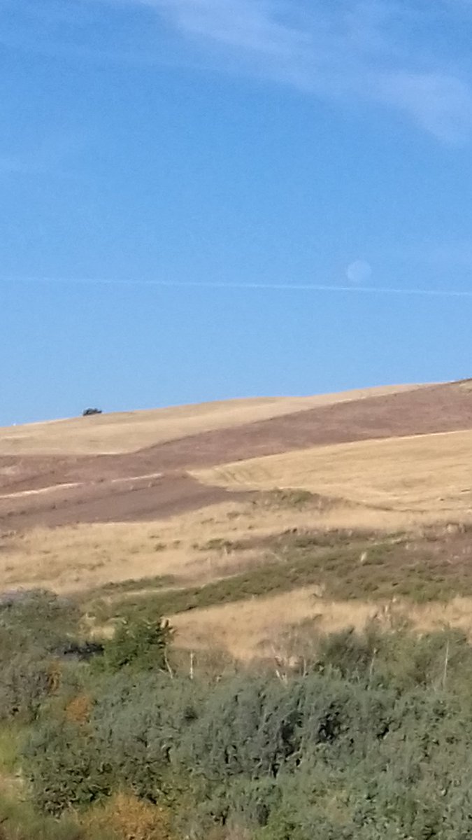Signora luna che mi accompagni per tutto il mondo puoi tu spiegarmi dov'è la strada che porta a me 

Vinicio Capossela 
#TraLeVieDellaBellezza
<a href="/CasaLettori/">Casa Lettori</a>

📷 by Toni