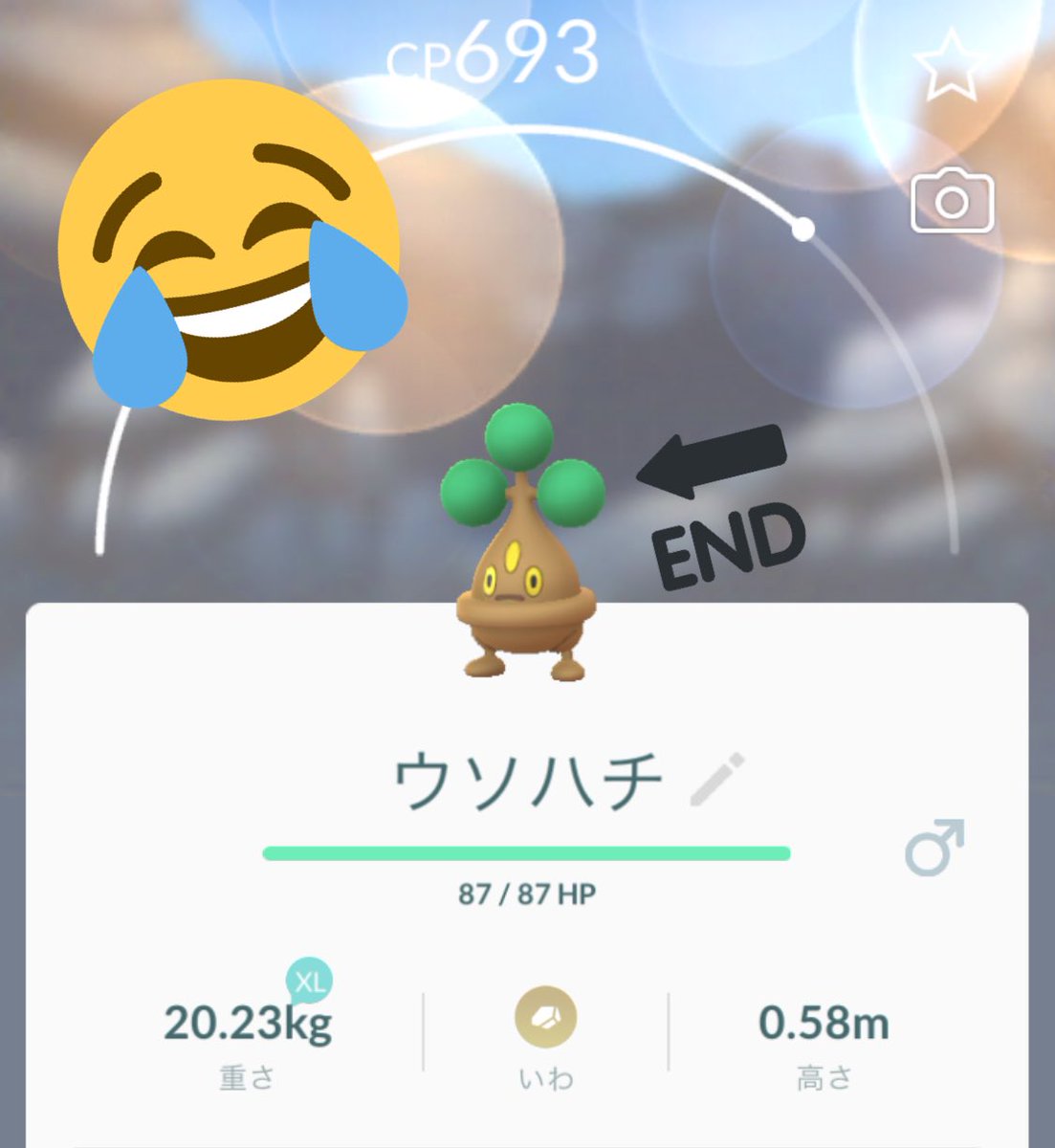 ポケモンgo 色違いウソッキーが続々と誕生 バディ15km進化は夏には辛い ポケモンgo攻略まとめ速報