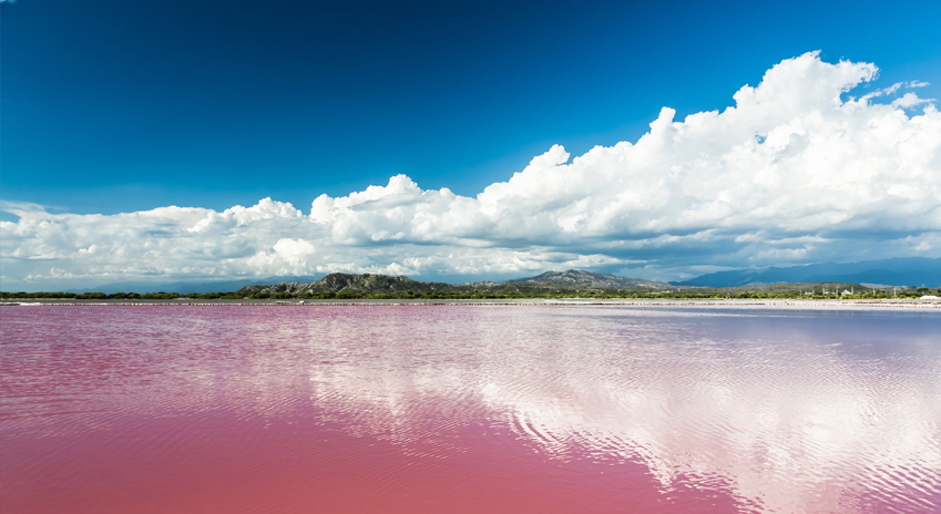 orangeafrica's tweet photo. [#Découverte 🌍🔎] Au #Sénégal, le #LacRose, de son vrai nom lac #Retba, doit sa renommée à sa couleur rose. Depuis les années 1970, sa grande ressource en sel marin contribue à l'économie du pays. #Travel #Voyage https://t.co/WW4SKegDs6