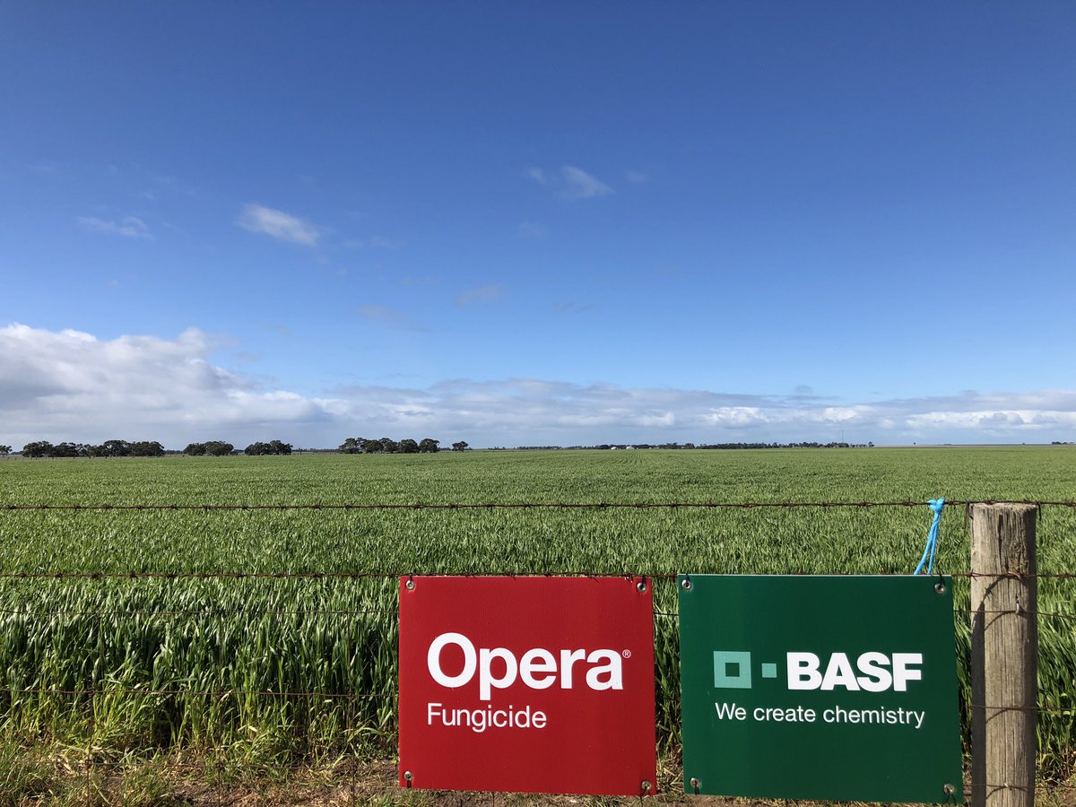 social capital a theory of