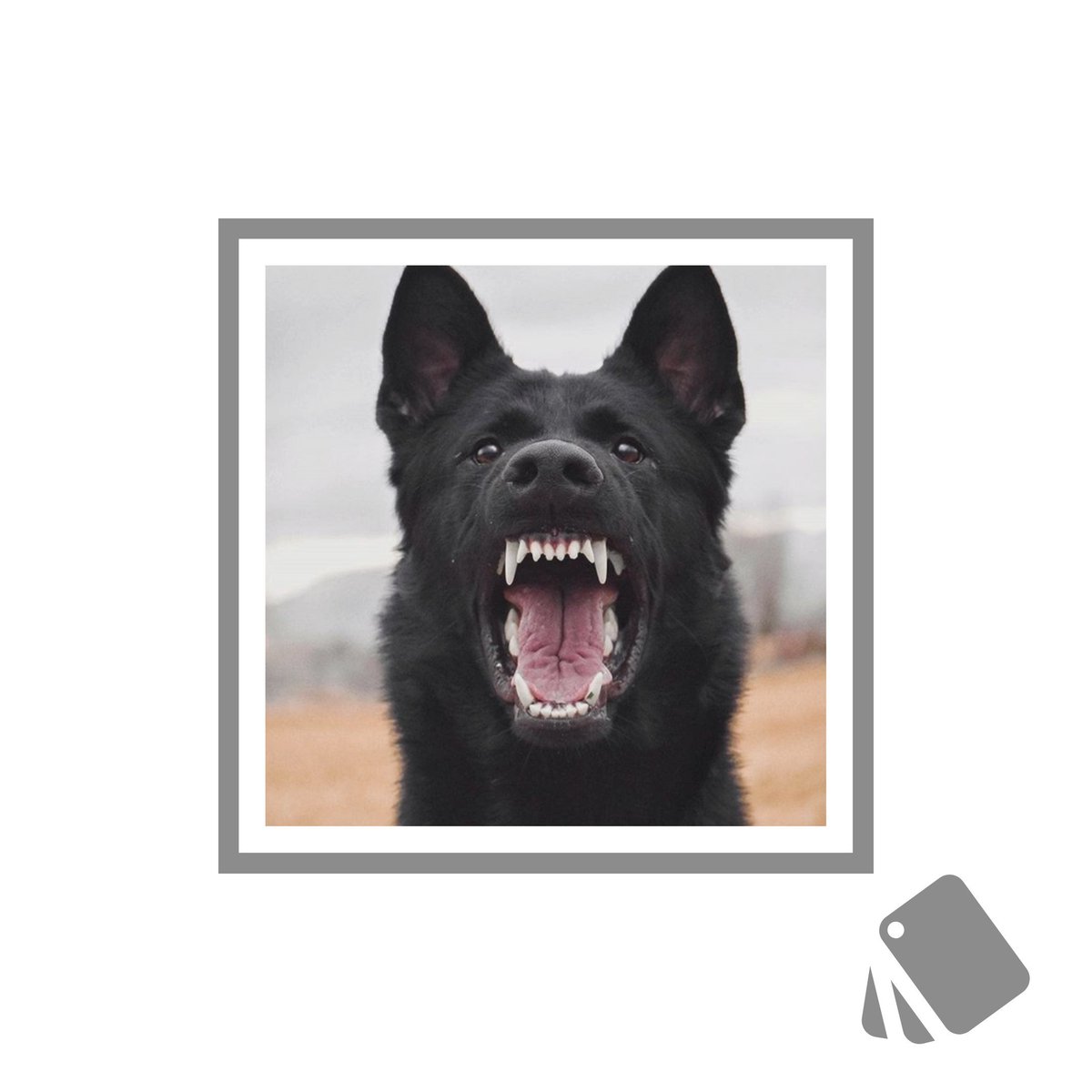 _Diffent's tweet image. ⠀

•.¸♡ ❛ Yᵒᵘ ʰᵃᵛᵉ ᵗᵒ ᵐᵃᵏᵉTᵒᵘᵍʰ Dᵉᶜⁱˢⁱᵒⁿˢ 
          ⁱⁿ ʷᵒʳˢᵗ ᶜᵃˢᵉ ˢᶜᵉⁿᵃʳⁱᵒˢ. ❜ ♡¸.•
                           
⠀  ✟ ; Ꭼˣ-Ꮇⁱˡⁱᵗᵃʳʸ Ꮐᵉʳᵐᵃⁿ Տʰᵉᵖʰᵉʳᵈ 

⠀⠀⠀⠀⠀⠀     ♡ + ↻