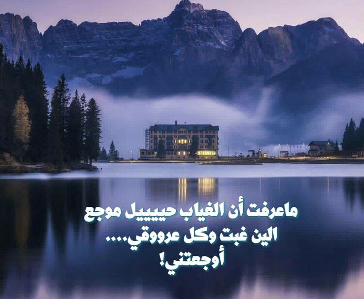 يامن رحلتم وهذا الود ما رحلا..
بالله عودوا سئمـنا البعد والأملا..
لـنا عليـكم حقـوق في محبـتنـا..
أقلهـا أن تعيدوا وصل من وصلا..
إن لم يكـن بيـننا أو بيـنكم نسـبا..
فبيننا مصحف بالحـق قد نزلا..
عودوا بـخير.. فما من راحل عبثا..
إلا وعــاد إلـيـنا مـثـلـمـا رحـلا..
#راقت_لي