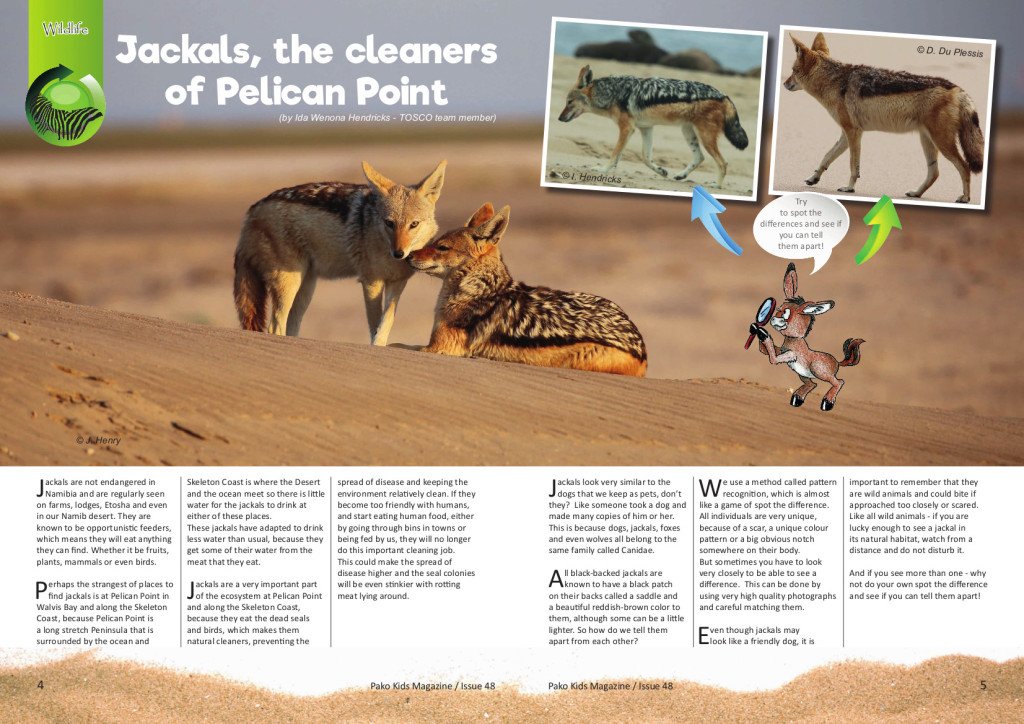 Jackals, the cleaners of Pelican Point tosco.org/2019/08/19/jac…