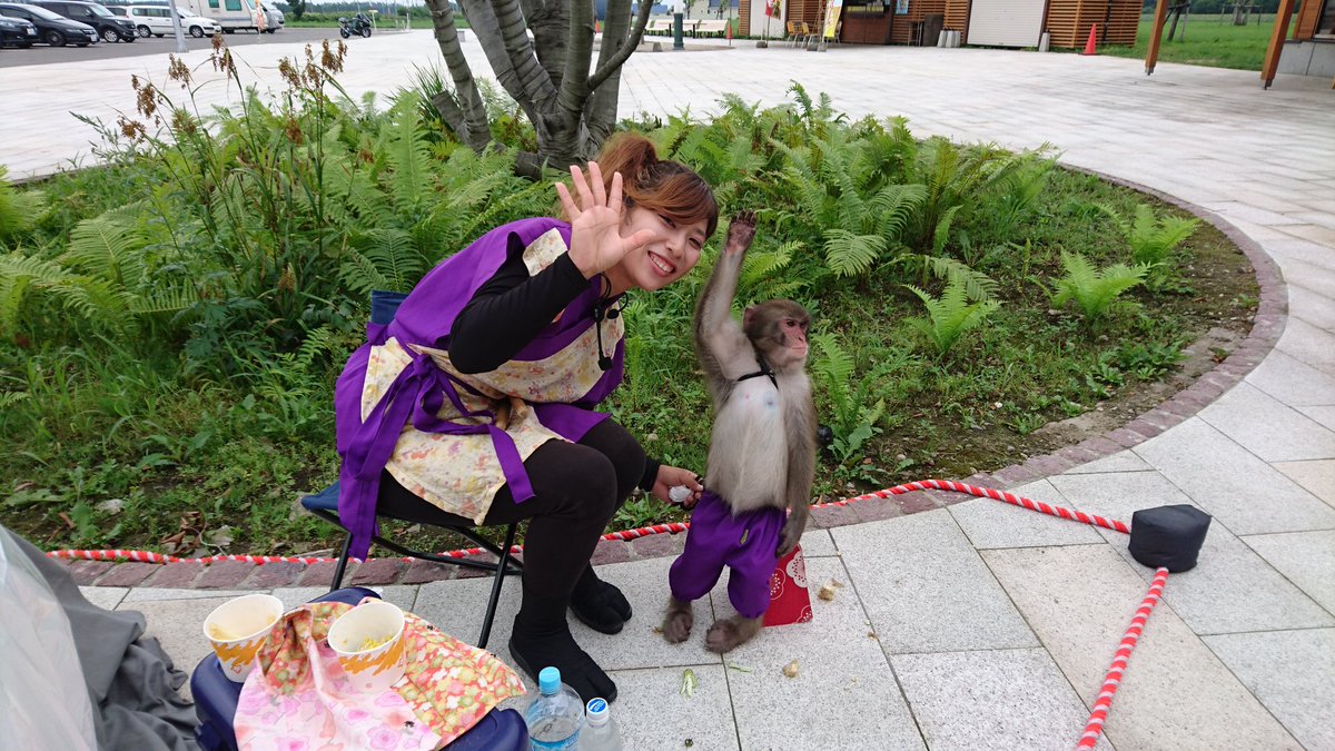 kokoronitabio's tweet photo. 道の駅ピア21しほろで「神戸モンキーズ劇場」の猿まわしが公演中！記念に写真を撮らせていただいた！楽しいひとときをあり���とう！頑張れお猿さん、 応援してるぞw
#神戸モンキーズ劇場
#japanesemoney 
#猿まわし
#道の駅ピア21しほろ
#日本列島くるま旅
#くるま旅
#旅日記
#旅好き
#旅人
#心に旅を https://t.co/PdsrpwVY7j