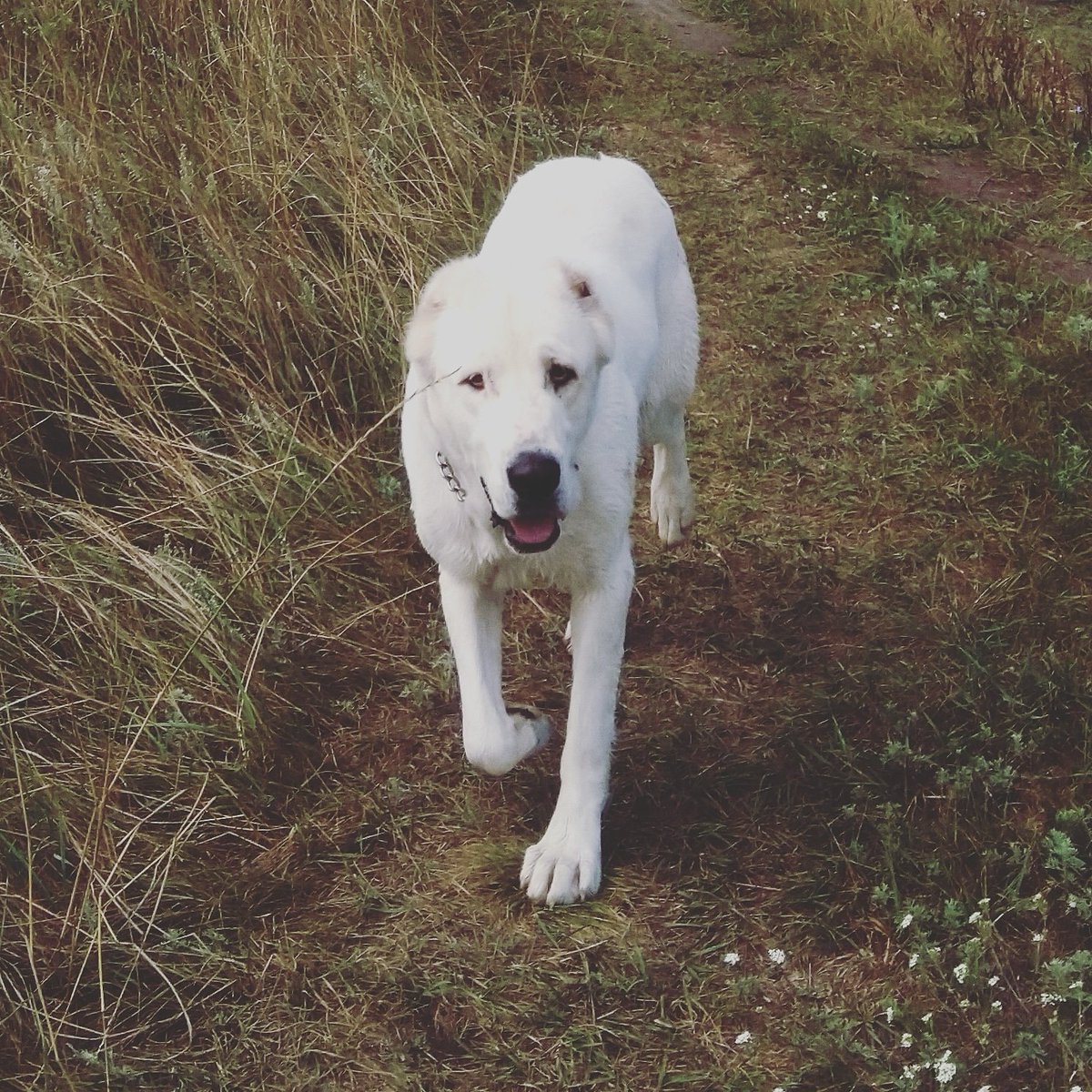 Oleg Azelitsky (@djslon) on Twitter photo 