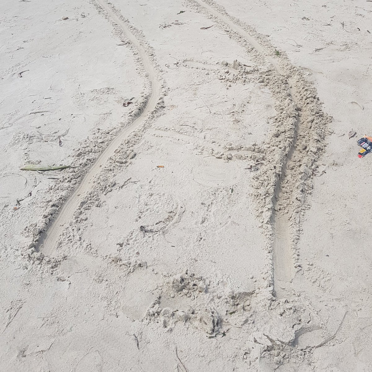 Friday_Face's tweet photo. #bagamoyo's #beachlife is #writteninsand. Market tables are dragged onto the beach by #fish sellers as fishing boats come in on the tide. #bahariyetuurithiwetu @urithiwetu @Maraakib @rftdnetwork @ExeterIAIS @sotonarch @Archaeo_UDSM @IchumbakiE https://t.co/hWWXuCqDSC