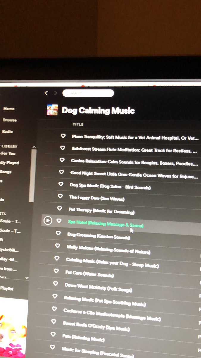 Thiago Campezzi tweet media