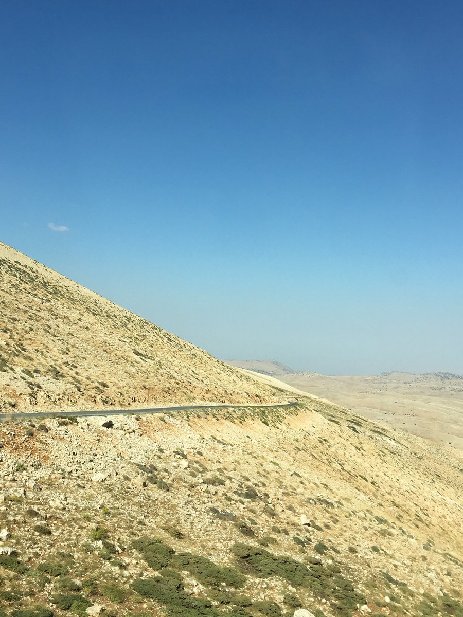 serinaharb's tweet photo. Possibilities https://t.co/b1vd8uCtcl