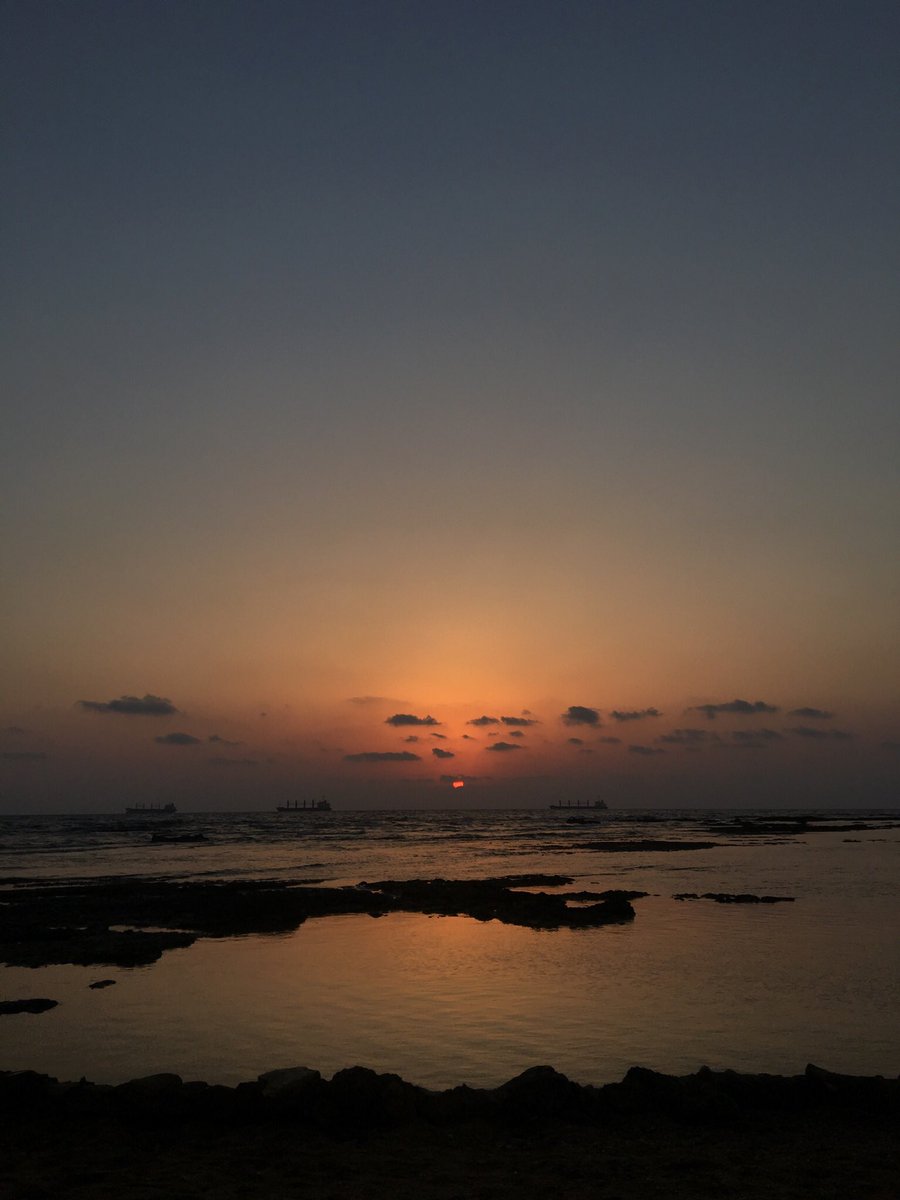 serinaharb's tweet photo. Poetry https://t.co/PrV5Z6Xet0