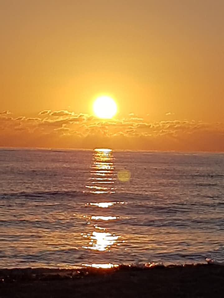 DjerbaBeachHtl's tweet photo. #SentidoDjerbaBeach wuenscht allen einen guten Wochenstart
#SentidoDjerbaBeach souhaite à tous un bon début de semaine
#SentidoDjerbaBeach wishes everyone a good start to the week
Sonnenaufgang am Sentido Djerba Beach Strand
Sunrise at Sentido Djerba Beach Beach https://t.co/JRVn9zWOxR
