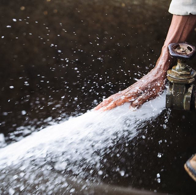 BeanThereCoffee's tweet photo. Water is critical for sustainable development, including environmental integrity and the alleviation of poverty and hunger, and is indispensable for human health and well-being.
- The United Nations World Water Development Report
#coffee #coffeehands #co… https://t.co/Aztdgya1Ip https://t.co/KExLla3yr6