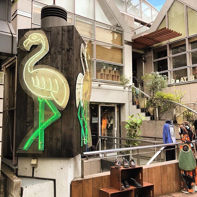 Japonismo's tweet photo. O ésta... (2/3)
🇯🇵
Or this one... (2/3)
.
.
#日本 #東京 #tokio #tokyo #japanesestreet #japan #japon #japo #japantrip  #japantravel #japanlover #instajapan #travel #travelblogger #realjapan #tokyostreetview #travelgram #viajar #travel_captures #travellove… https://t.co/3jbdcanvnX https://t.co/k98ZDcI23r