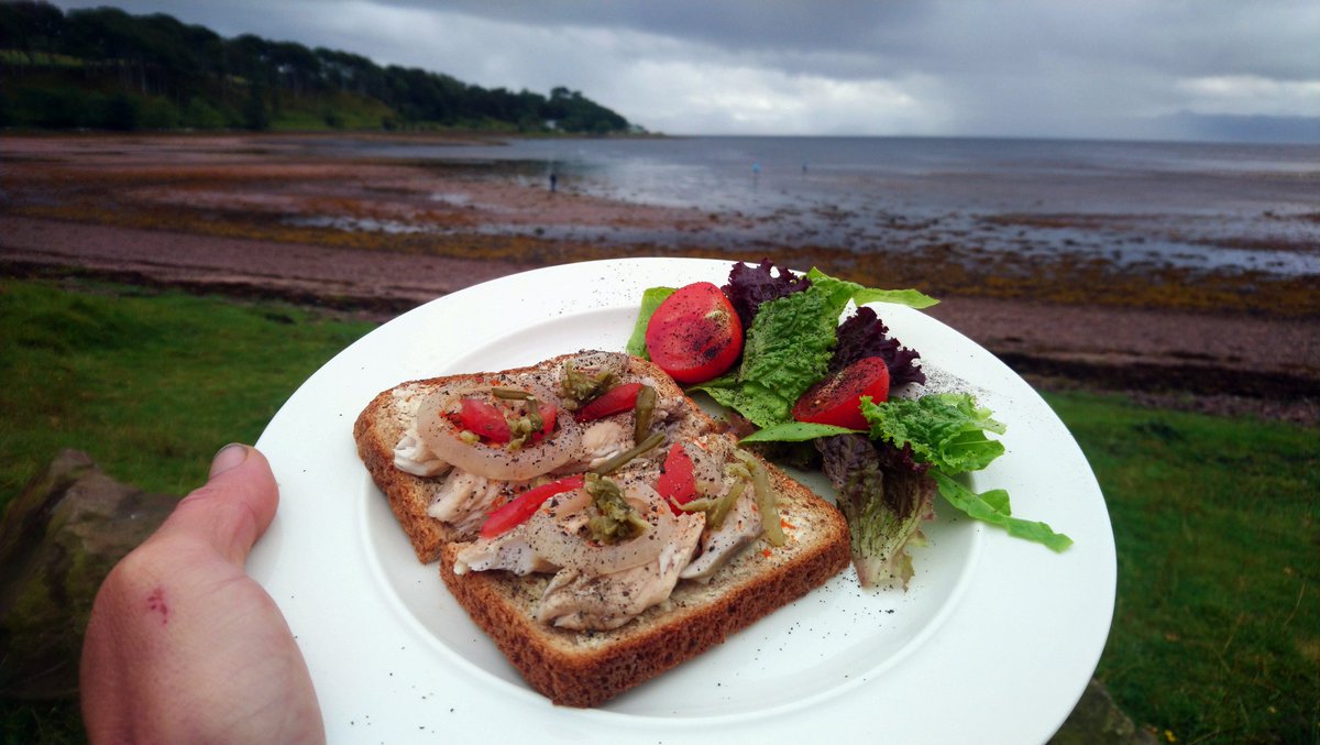 Fresh Mackerel, Soused in a hot, infused pickle: ACV, Spring Water, Sugar, Salt, Mugwort, Meadowsweet, Onion, Bay Leaf, Peppercorn &amp; Isle of Mull Chillies 🔥 Served simply on brown bread with seaweed &amp; chilli powder, lactofermented ramson flower heads &amp; tomato #wildfood #foraging