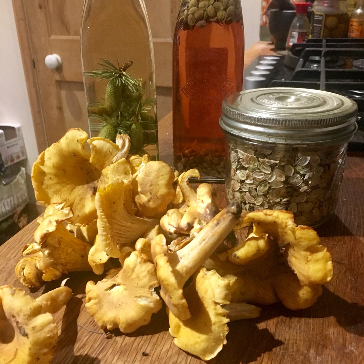 ForagerCotswold's tweet photo. Busy day yesterday picking chantarelles, bottling up some hogweed seeds in rice wine vinegar, some more vinegar with juvenile spruce cones, and jarring up a whole load more hogweed seeds ready to use through the winter ☺️👍
#forager #foraging #coursesavailable https://t.co/NAmCyNxub1