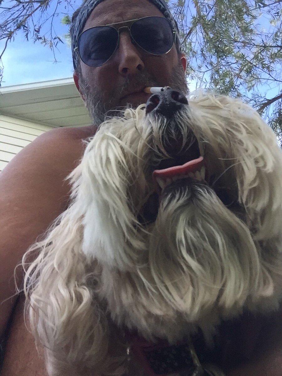 DerekBoom75's tweet photo. #doglife#princesssquishface#lila https://t.co/MsquTcHpKo