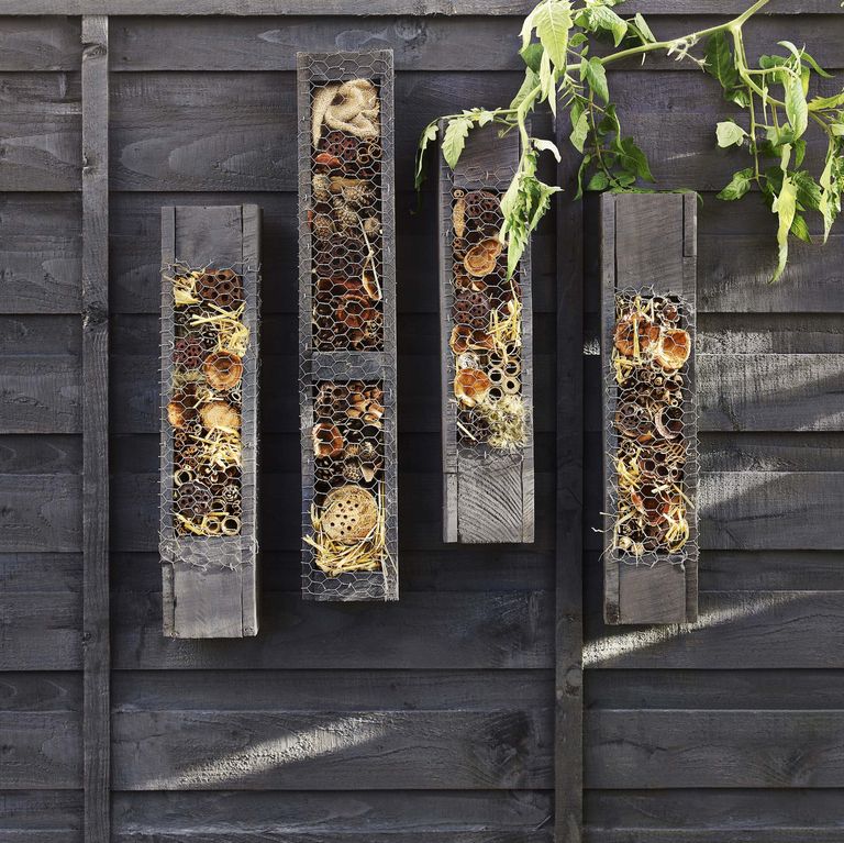 JaffeProperties's tweet image. Black is this summer's must-have garden paint colour, reveals Chelsea Flower Show garden designer

Whether it's the fence or the shed, this one colour will transform your outdoor space. @HB

Read more here &amp;gt;&amp;gt; housebeautiful.com/uk/garden/a280…

#Black #Garden #PaintColour