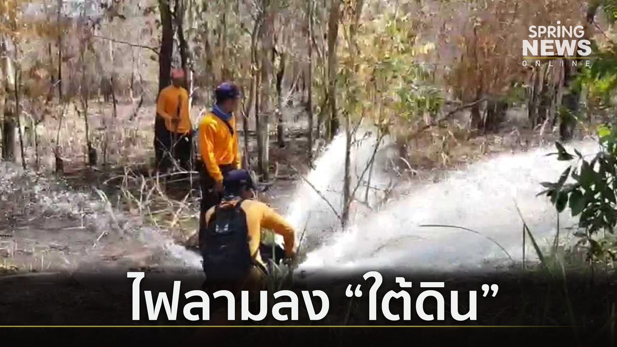 SPRiNGNEWS_TH's tweet image. จนท.ห่วงเร่งอัดน้ำควบคุม ไฟป่า “พรุควนเคร็ง” จ.นครศรีธรรมราช หลังไฟลามใต้ดิน #ข่าวจริง #สปริงนิวส์ #Springnew