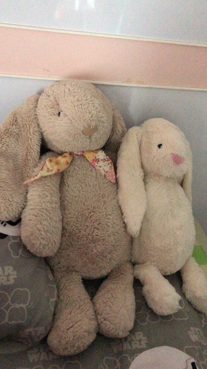 PUNCH_CE's tweet image. 🐰🐰