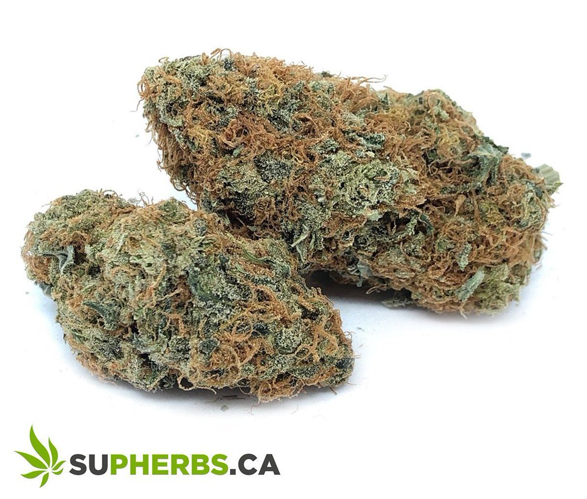 SUPHERBS1's tweet image. Have you tried our White Cookies yet?  The euphoric high brings you to a happiness state of mine that instantly erases any negative thoughts and will find yourself laughing at just about everything for no good reason at all 

buff.ly/33AZoa1

#AAA #sativa #whitecookies