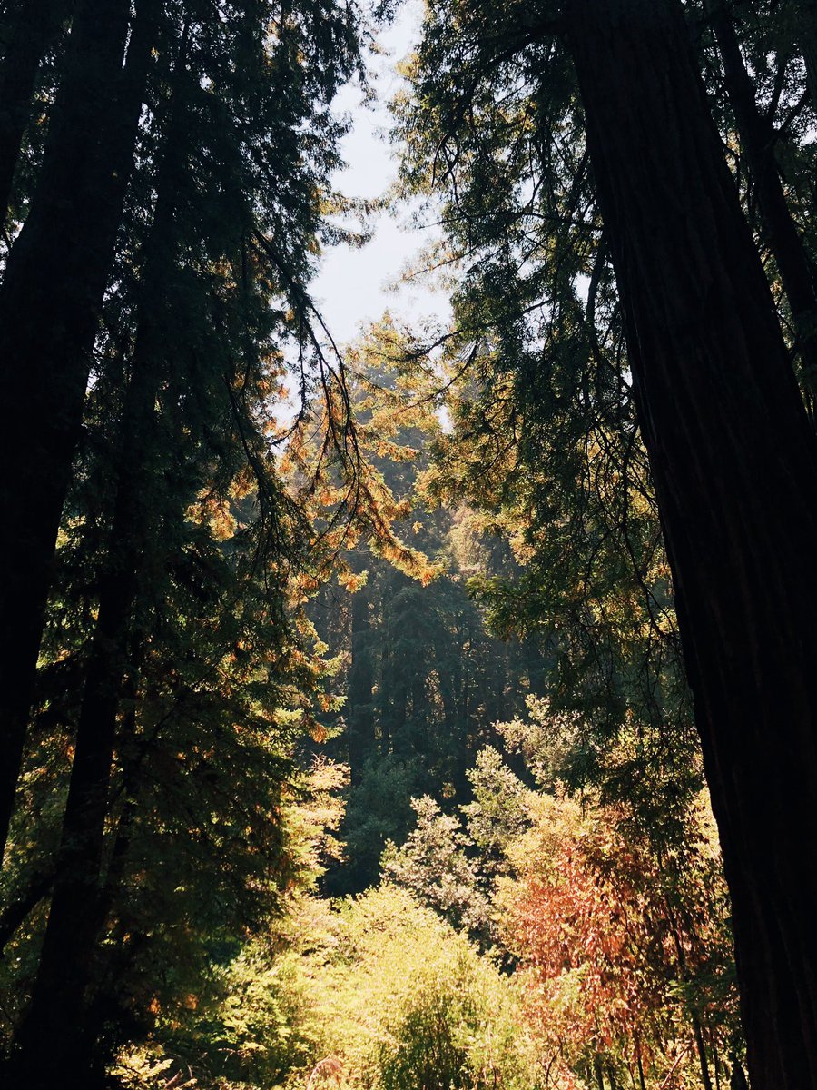 easydarlings's tweet image. mornings,
[@connorfranta | #frantasticmonday]