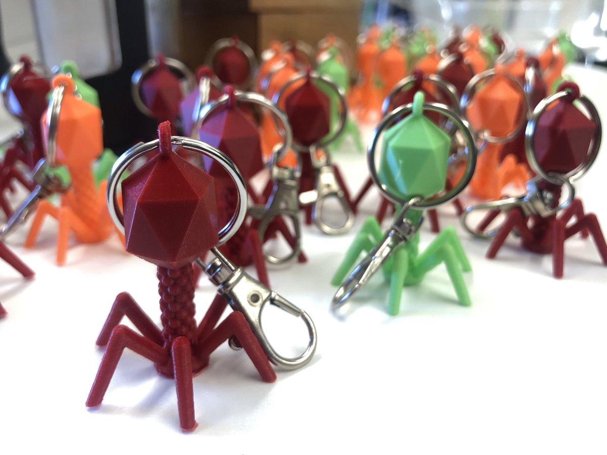 Heather Hendrickson tweet media