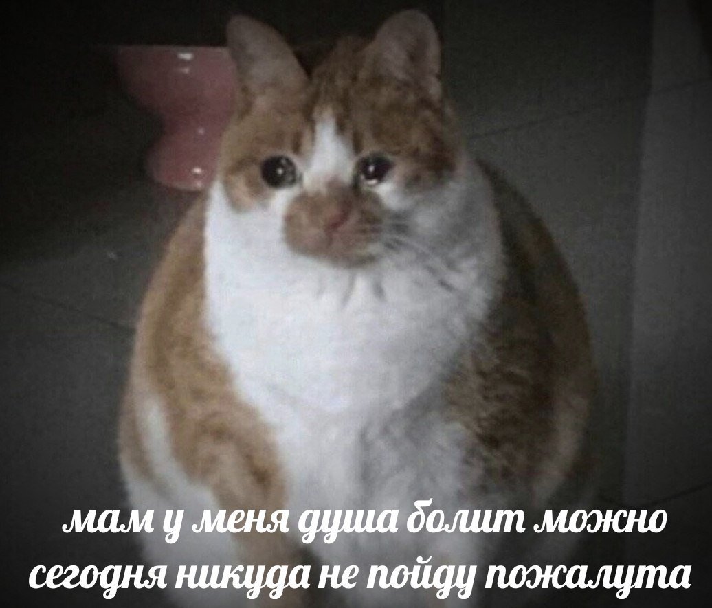 ECUrPbHXkAAlAqL?format=jpg&name=medium