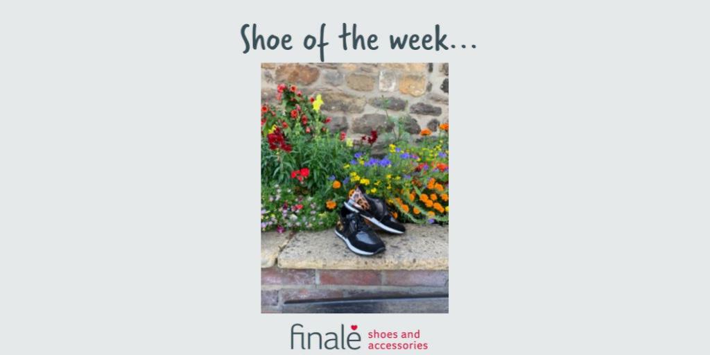 Finale_Shoes's tweet image. This fab black trainer with a hint of animal print about it has just arrived so isn't online yet only in-store. I love it and it's perfect for wearing now on cooler days. #animalprint #trainerstyle